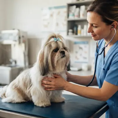 Shih Tzu Health Guide