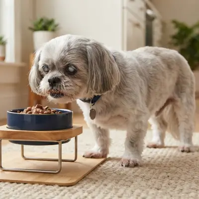 Senior Shih Tzu Feeding Guide