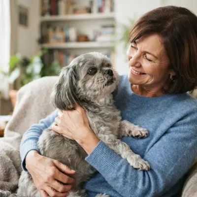 Adopting a Senior Shih Tzu