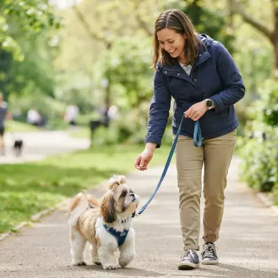 Shih Tzu Leash Training and Basic Commands