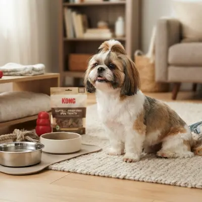 Shih Tzu Product Safety Checklist