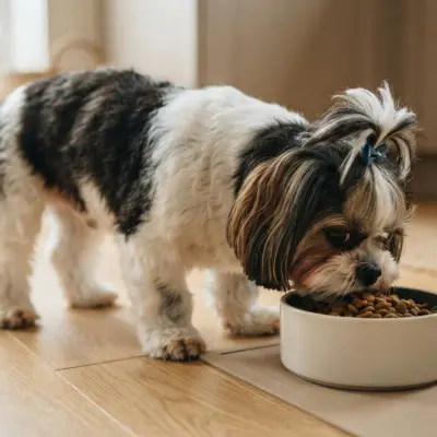 Shih Tzu Feeding Calculator