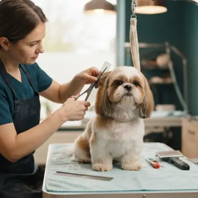 How to Remove Shih Tzu Mats Safely