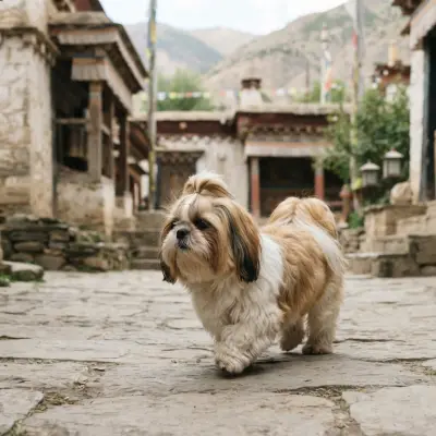 Shih Tzu History and Origin